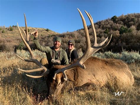 utah elk hunting license.